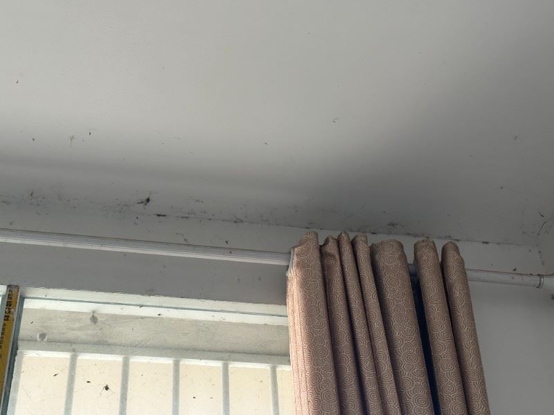 深圳漏水检测 外墙漏水阳台漏水 精准定位测漏水 防水补漏工程