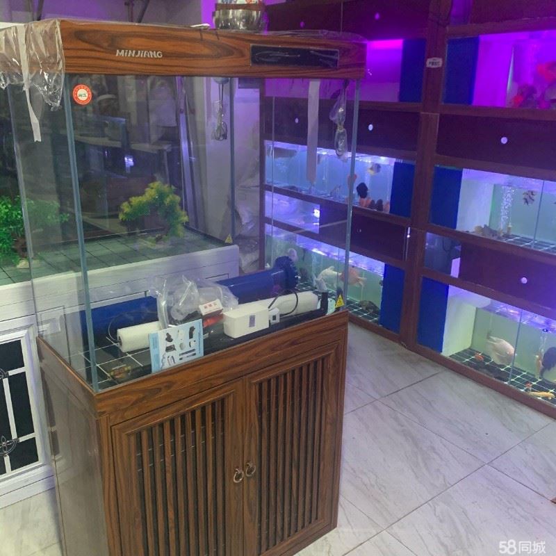 龙岗附近鱼缸清洗 鱼缸清洗服务