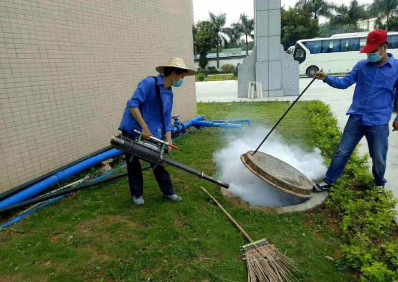 深圳白蚁防治所 灭白蚁消杀除四害公司,全深圳上门服务