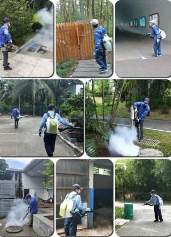深圳白蚁防治所 灭白蚁消杀除四害公司,全深圳上门服务