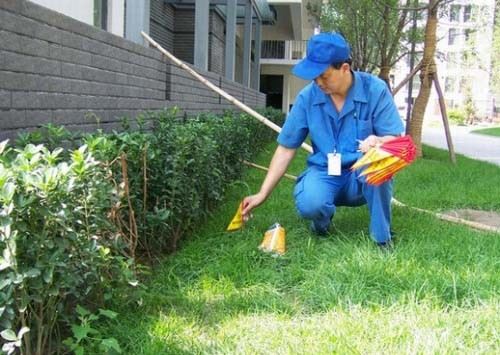 深圳白蚁防治所 灭白蚁消杀除四害公司,全深圳上门服务