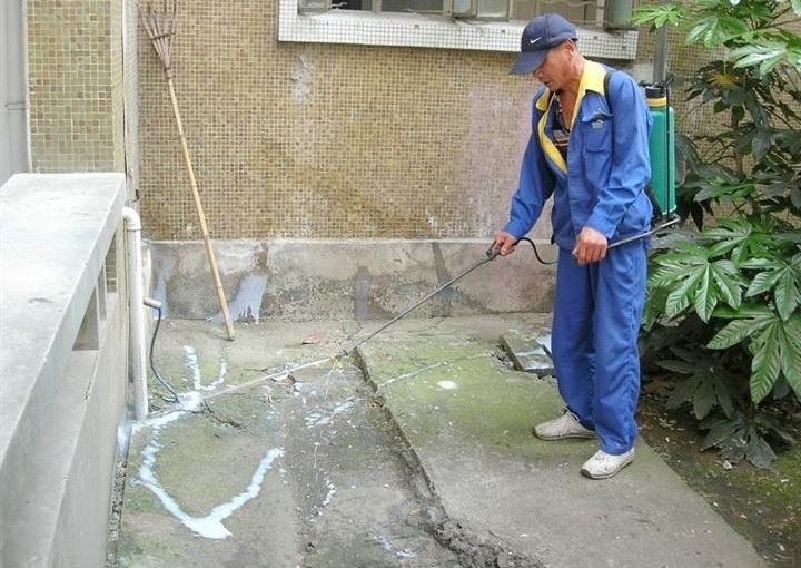 深圳白蚁防治所 灭白蚁消杀除四害公司,全深圳上门服务