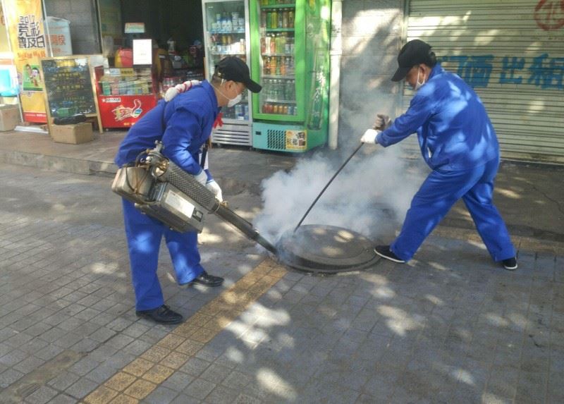 深圳白蚁防治所 灭白蚁消杀除四害公司,全深圳上门服务