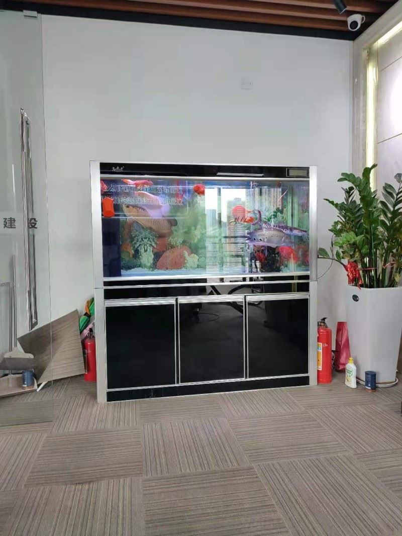 坪山新区清洁公司专业写字楼地毯清洗,地板清洗