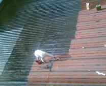 深圳卫生间漏水维修公司 罗湖漏水检测 外墙渗水维修电话