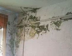 深圳卫生间漏水渗水补漏 龙华漏水检测 外墙渗水维修电话