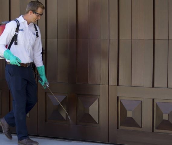 深圳龙华除虫消杀,外墙清洗咨询了解价格