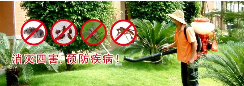 深圳白蚁防治所 灭白蚁消杀除四害公司,全深圳上门服务